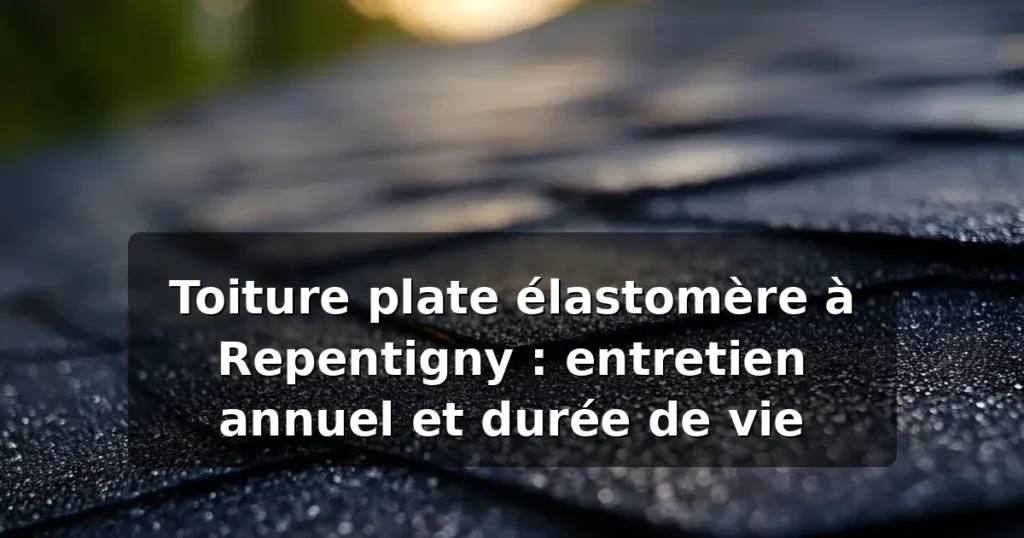 Toiture plate élastomère à Repentigny : entretien annuel et durée de vie 1 Toiture plate élastomère Repentigny : entretien et durée de vie — illustration